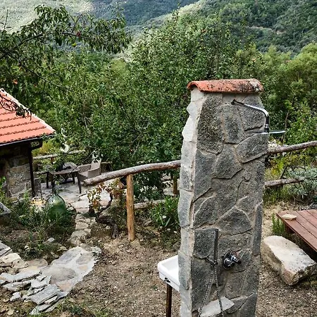 Lodge Casa Lucertola