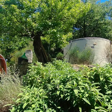 Casa Lucertola Gerendaház Apricale