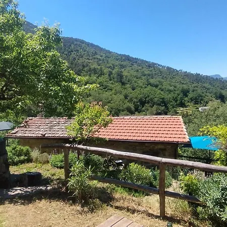 Casa Lucertola Orman Evi