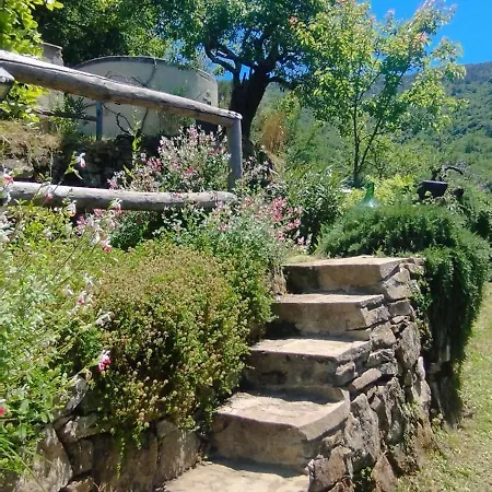 Casa Lucertola بيت خشبي *