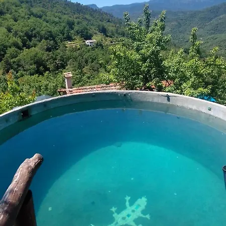 Orman Evi Casa Lucertola *