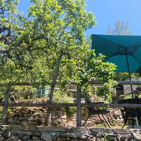 Casa Lucertola Lodge *