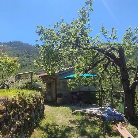 Casa Lucertola *